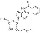 N6-苯甲?；?2'-O-(2-甲氧基乙基)腺苷